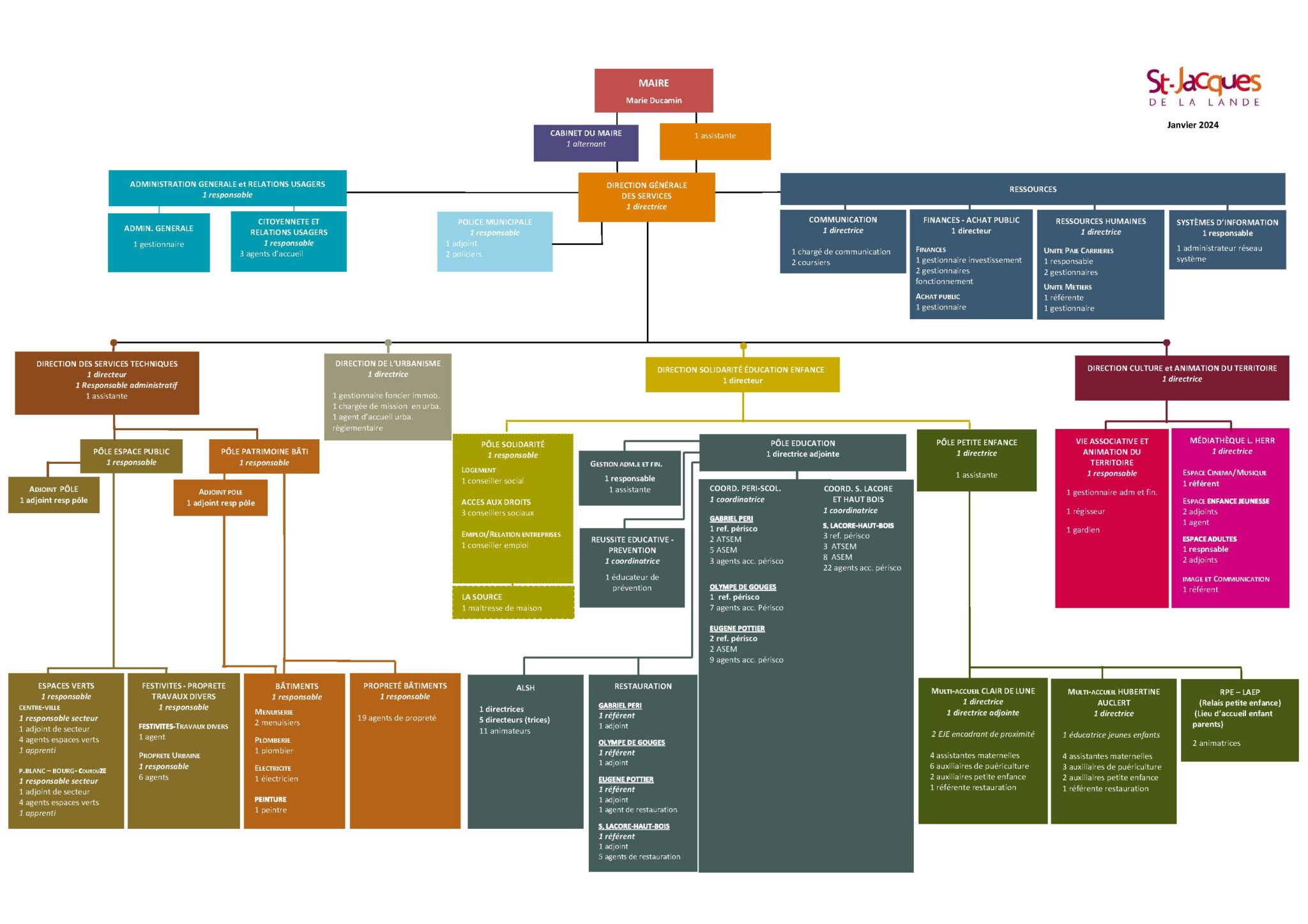 Organigramme Fonctionnel 2024